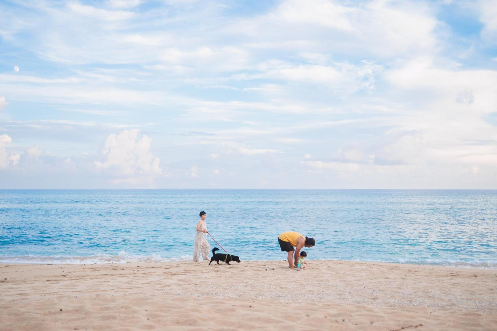 Hotel Coral Palms Suno